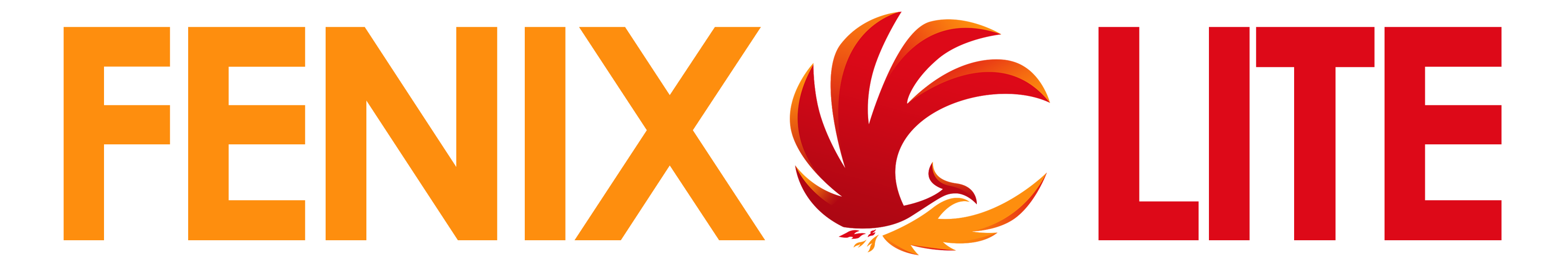 FENIX GPS